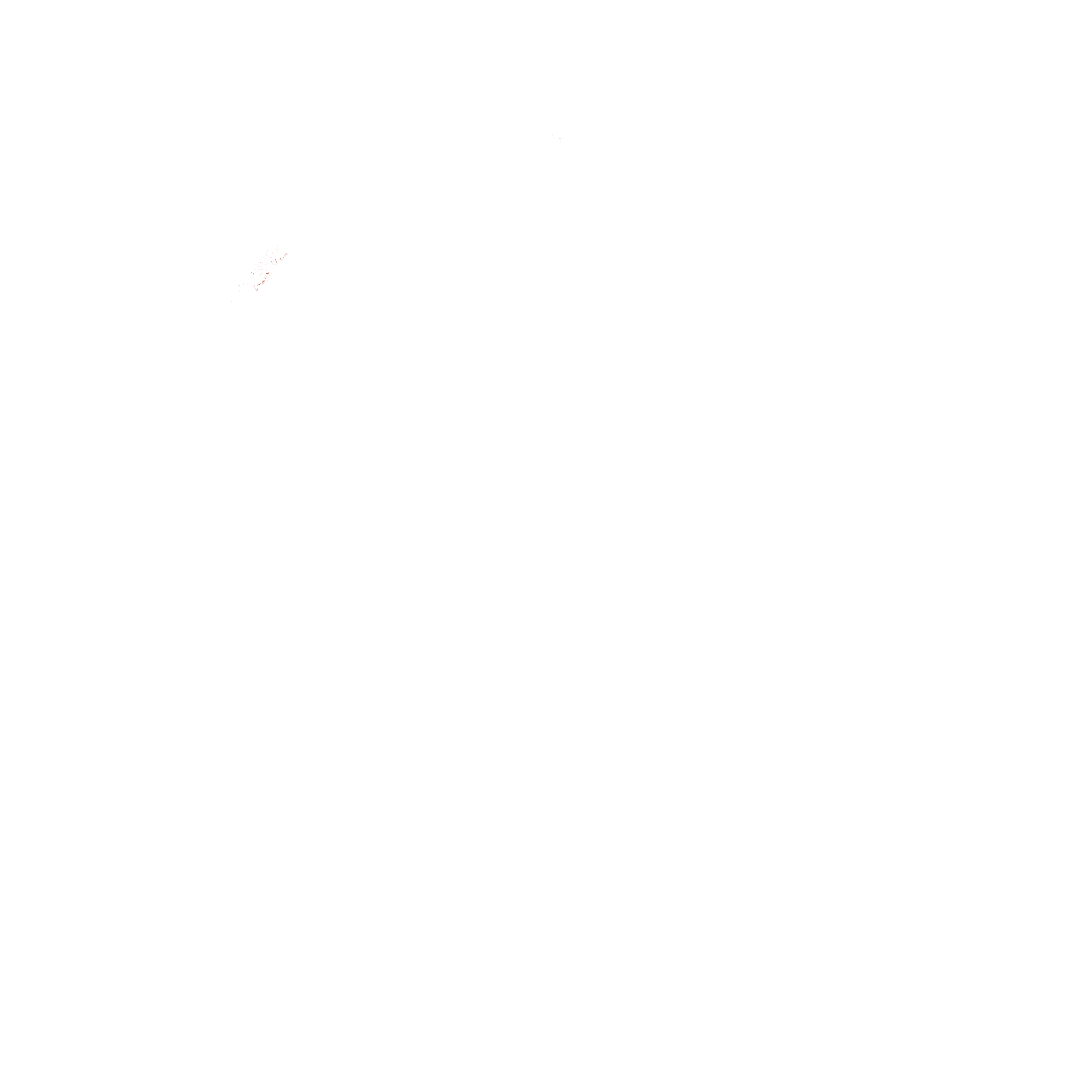 World Therapy