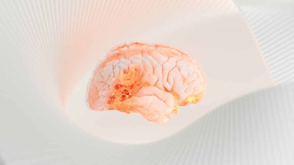 a close up of a human brain on a white surface